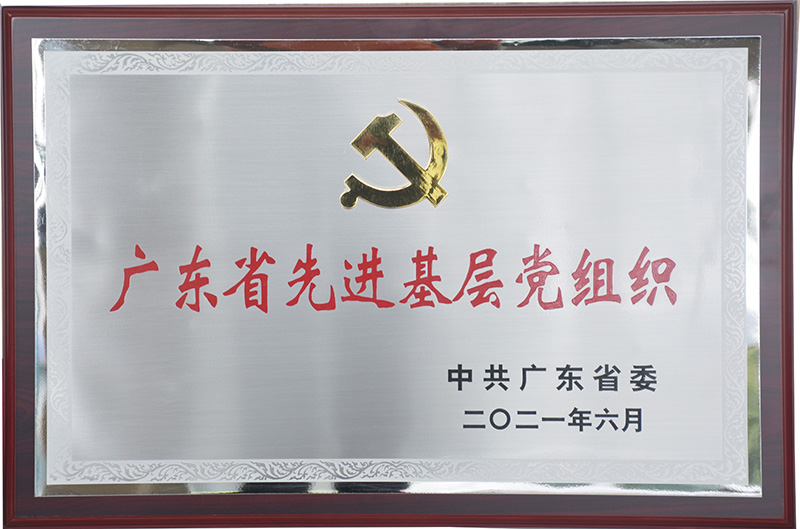 喜讯：奇正党支部荣获“广东省先进基层党组织”荣誉称号！